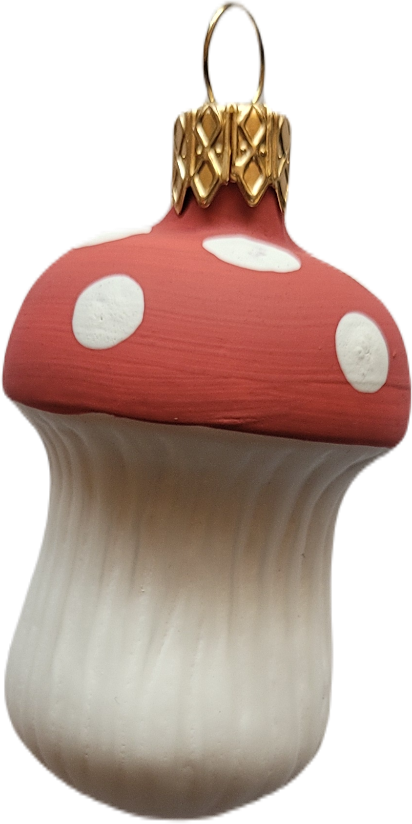 Muchomůrky / houby