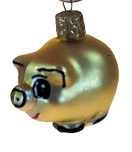 Zvířata