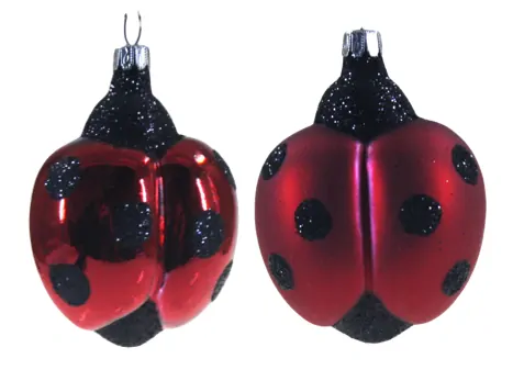 beruška / 7,5cm / 6ks (3+3)